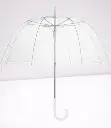 parapluie_transparent.webp
