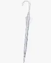 parapluie_transparent_2.webp