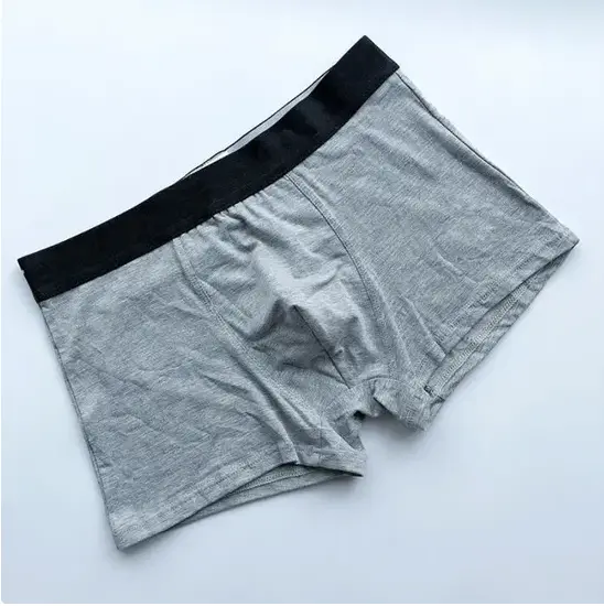 Capture_boxer_1.webp