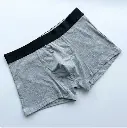 Capture_boxer_1.webp